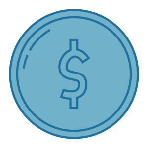 coin icon